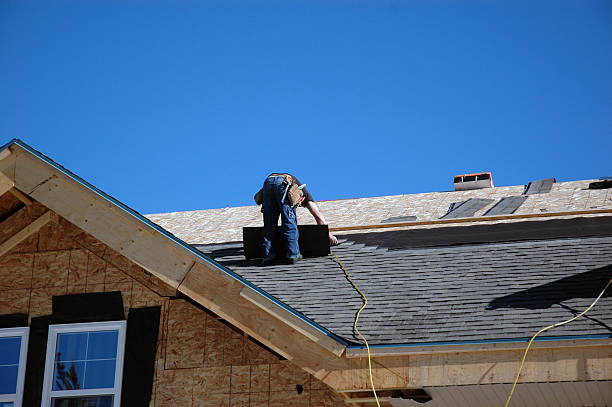 Best Roof Maintenance Services  in Stevensville, MT