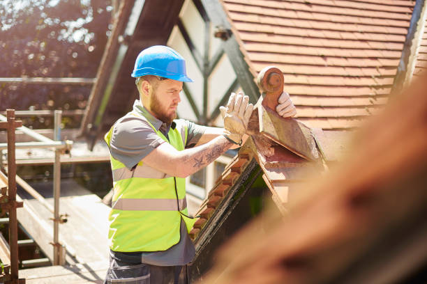 Best Local Roofing Companies  in Stevensville, MT